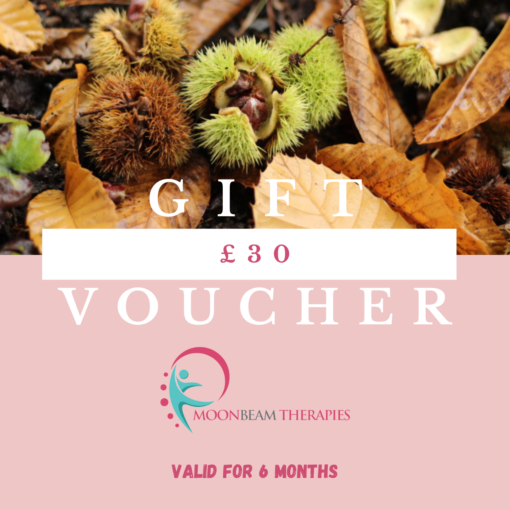 Moonbeam Therapies and Training-Voucher-£30 Contains picture of autumn leaves with a horse chestnut/Conker opening up