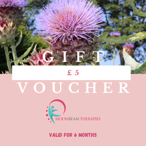 Moonbeam Therapies and Training-Voucher-£5 Contains picture of large purple thistle in full bloom