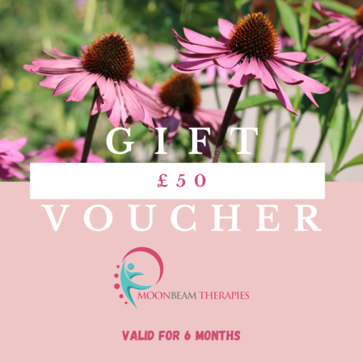Moonbeam Therapies and Training-Voucher-£50 contains picture of 3 Echinacea flowers in full bloom